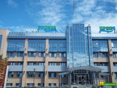 hotel-pronia-gorki-2436